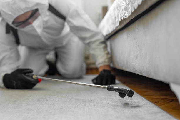 Professional Bed Bug Control technician working in Reedsville, WI