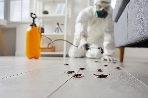 Trusted Fumigation Services service in Reedsville, WI - Nex Pest Control
